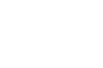 Palm Tree Pools logo