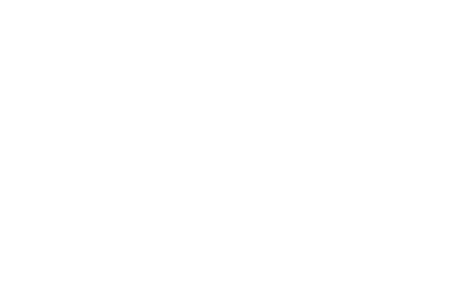 Palm Tree Pools