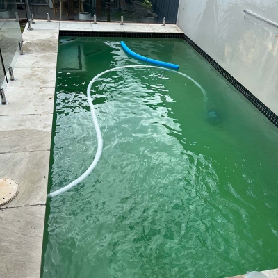 Green Pool Recovery Brisbane. Pool 5 Before