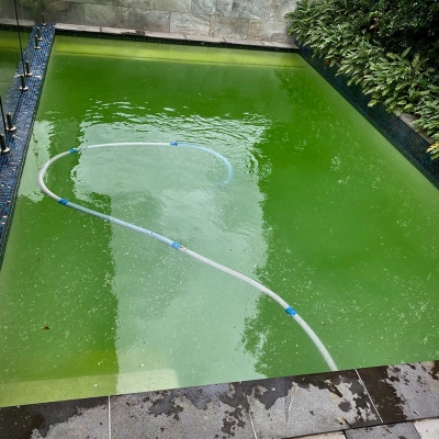 Green Pool Recovery Brisbane. Pool 6 Before