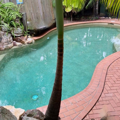 Green Pool Recovery Brisbane. Pool 2 After