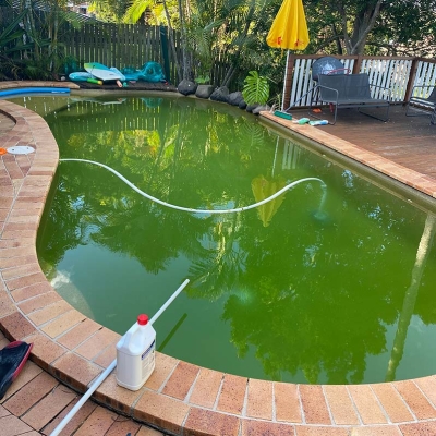 Green Pool Recovery Brisbane. Pool 3 Before